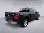 2025 F-150 Thumbnail 5