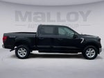 2025 F-150 Thumbnail 6