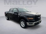 2025 F-150 Thumbnail 7