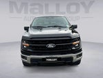 2025 F-150 Thumbnail 8