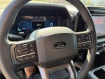 2024 F-150 Thumbnail 18