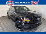 2024 F-150 Thumbnail 1