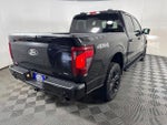2024 F-150 Thumbnail 11