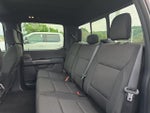 2024 F-150 Thumbnail 14