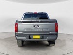 2024 F-150 Thumbnail 6