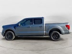 2024 F-150 Thumbnail 8