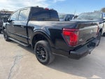 2024 F-150 Thumbnail 4