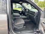 2024 F-150 Thumbnail 6