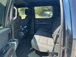 2024 F-150 Thumbnail 11