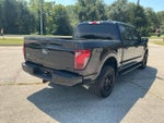 2024 F-150 Thumbnail 14
