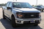 2024 F-150 Thumbnail 6