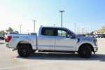 2024 F-150 Thumbnail 8