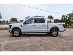 2025 F-150 Thumbnail 2