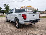 2025 F-150 Thumbnail 3