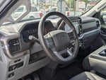 2025 F-150 Thumbnail 8