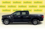 2025 F-150 Thumbnail 12