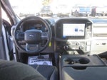2025 F-150 Thumbnail 12