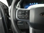 2025 F-150 Thumbnail 17