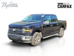 2025 F-150 Thumbnail 10