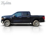 2025 F-150 Thumbnail 11