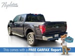 2025 F-150 Thumbnail 12