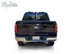 2025 F-150 Thumbnail 13