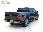2025 F-150 Thumbnail 14