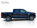 2025 F-150 Thumbnail 15