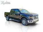 2025 F-150 Thumbnail 16
