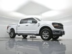 2025 F-150 Thumbnail 4