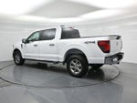 2025 F-150 Thumbnail 7