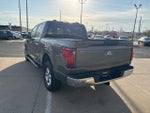 2025 F-150 Thumbnail 11