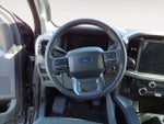 2025 F-150 Thumbnail 13