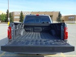 2025 F-150 Thumbnail 23