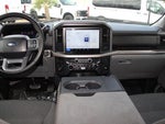2025 F-150 Thumbnail 19