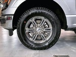 2025 F-150 Thumbnail 8