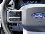 2025 F-150 Thumbnail 20