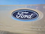 2025 F-150 Thumbnail 10