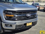 2025 F-150 Thumbnail 1