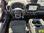 2025 F-150 Thumbnail 12