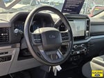 2025 F-150 Thumbnail 18