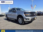 2025 F-150 Thumbnail 24