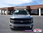 2025 F-150 Thumbnail 8