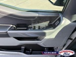 2025 F-150 Thumbnail 11
