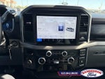 2025 F-150 Thumbnail 18