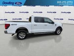 2025 F-150 Thumbnail 4