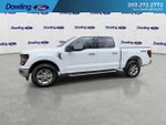 2025 F-150 Thumbnail 8