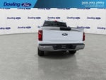 2025 F-150 Thumbnail 2