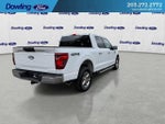 2025 F-150 Thumbnail 3