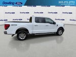 2025 F-150 Thumbnail 4